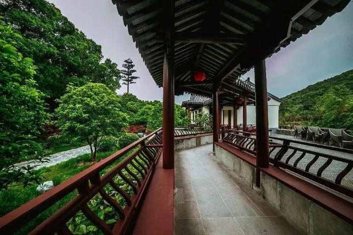 绯雨骑士团